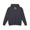 Ali Is My Master Hoodie